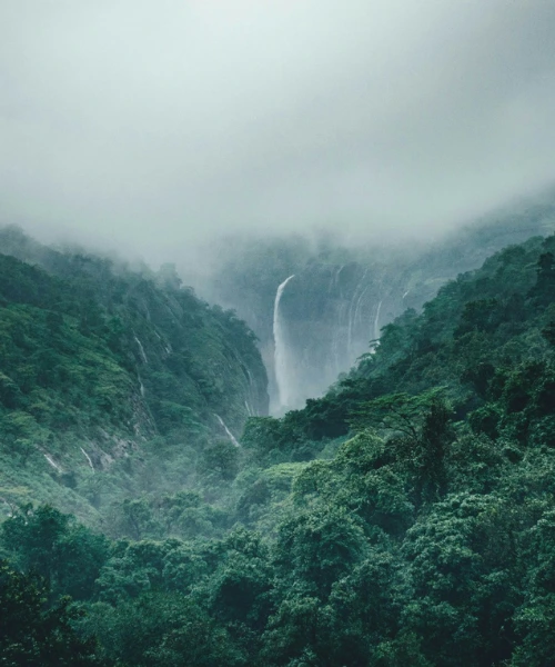 Misty rainforest valley with a tall waterfall flowing through dense green hills